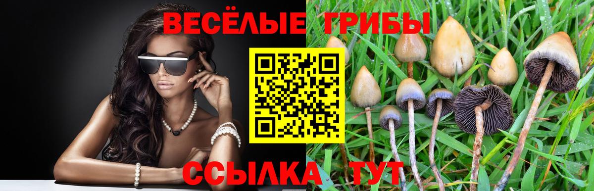 Псилоцибиновые грибы ЛСД  Вход с VPN  Туймазы 